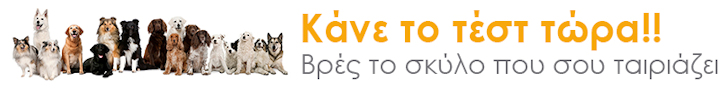 Τεστ τι σκύλος μου ταιριάζει