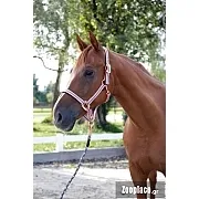 Καπίστρι Cora Νο 1 Pony