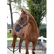 Καπίστρι Cora ΥΙΟΣ Νο 1 Pony
