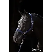 Καπίστρι Dexter Μπλέ Νο 1 Pony