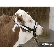 Καπίστρι για Αγελάδες και Νεαρούς Ταύρους