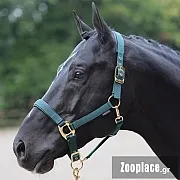 Καπίστρι για άλογα TopLine , Νο 3 Full KERBL