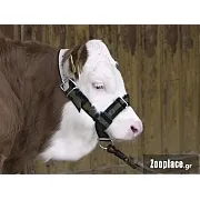 Καπίστρι για μοσχάρια