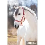 Καπίστρια Ιμάντινα Hippo bordeaux beige 2 Cob
