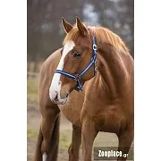 Καπίστρια Ιμάντινα Hippo Ναυτικό Γαλάζιο Νο 1 Pony