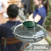 Παγίδα άξονα