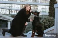 Επιλέγοντας τον κατάλληλο σκύλο φύλακα Επιλέγοντας τον κατάλληλο σκύλο φύλακα