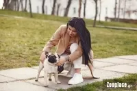 Πότε μπορώ να βγάλω το κουτάβι μου βόλτα έξω;