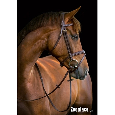 Χαλινάρι Αλόγου Classic Cob ΧΩΡΙΣ ΣΤΟΜΙΔΑ-καφέ