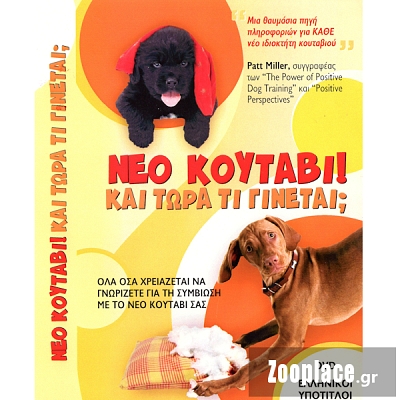 DVD Νέο κουτάβι και τώρα τι γίνεται