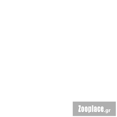 Καλώδιο θέρμανσης για Ποτίστρα