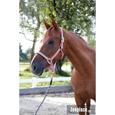 Καπίστρι Cora Νο 1 Pony