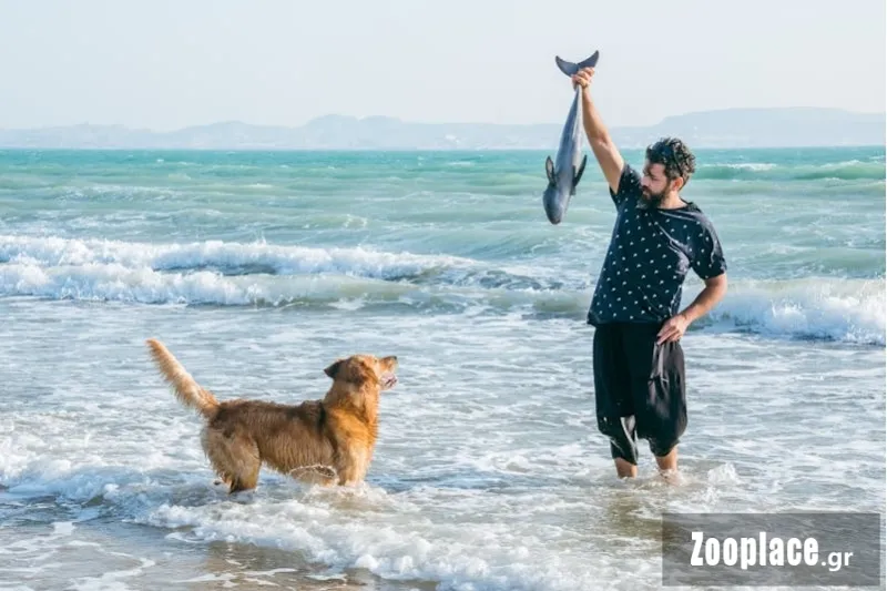 Οι γάτες ναι, αλλά οι σκύλοι τρώνε ψάρι; Οι γάτες ναι, αλλά οι σκύλοι τρώνε ψάρι;