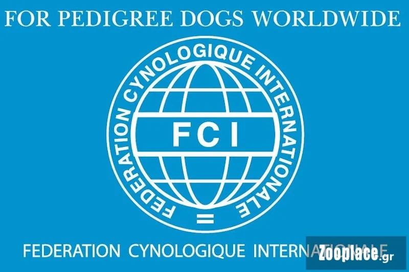 Τι είναι το Pedigree του σκύλου Τι είναι το Pedigree του σκύλου